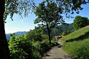 Al Pizzo Grande e al Monte Molinasco da Alino di S. Pellegrino il 25 maggio 2020-FOTOGALLERY